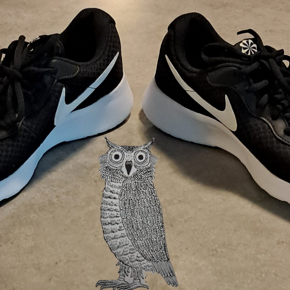 Nike Tanjun Sustainable Sneakers Women's 9.5 Like New